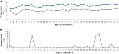 Cell Wall Polysaccharide Composition of Grafted ‘Liberty’ Watermelon With Reduced Incidence of Hollow Heart Defect